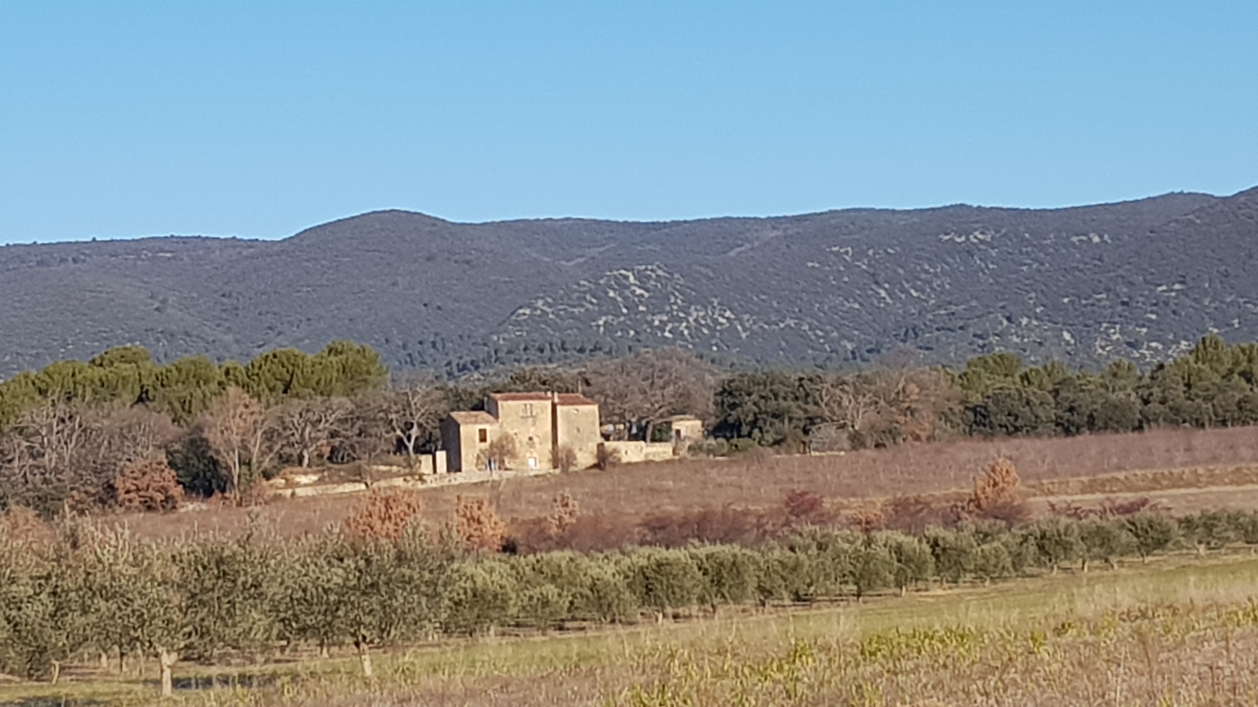 Cucuron historic property - 20250112_094112 2.JPG