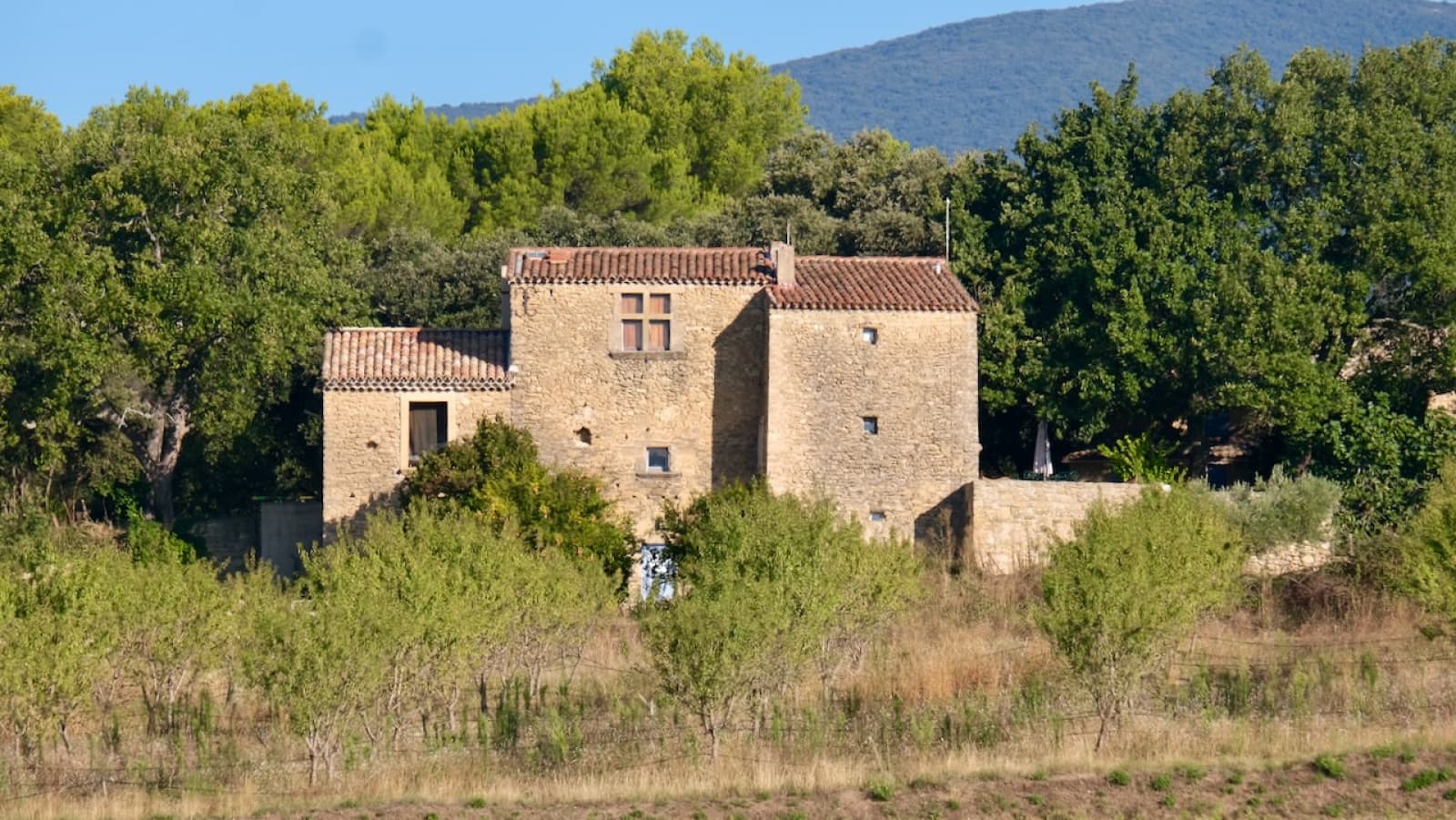 Cucuron historic property - photo_ce694bc78c0412189d6804d6d574943e.jpg