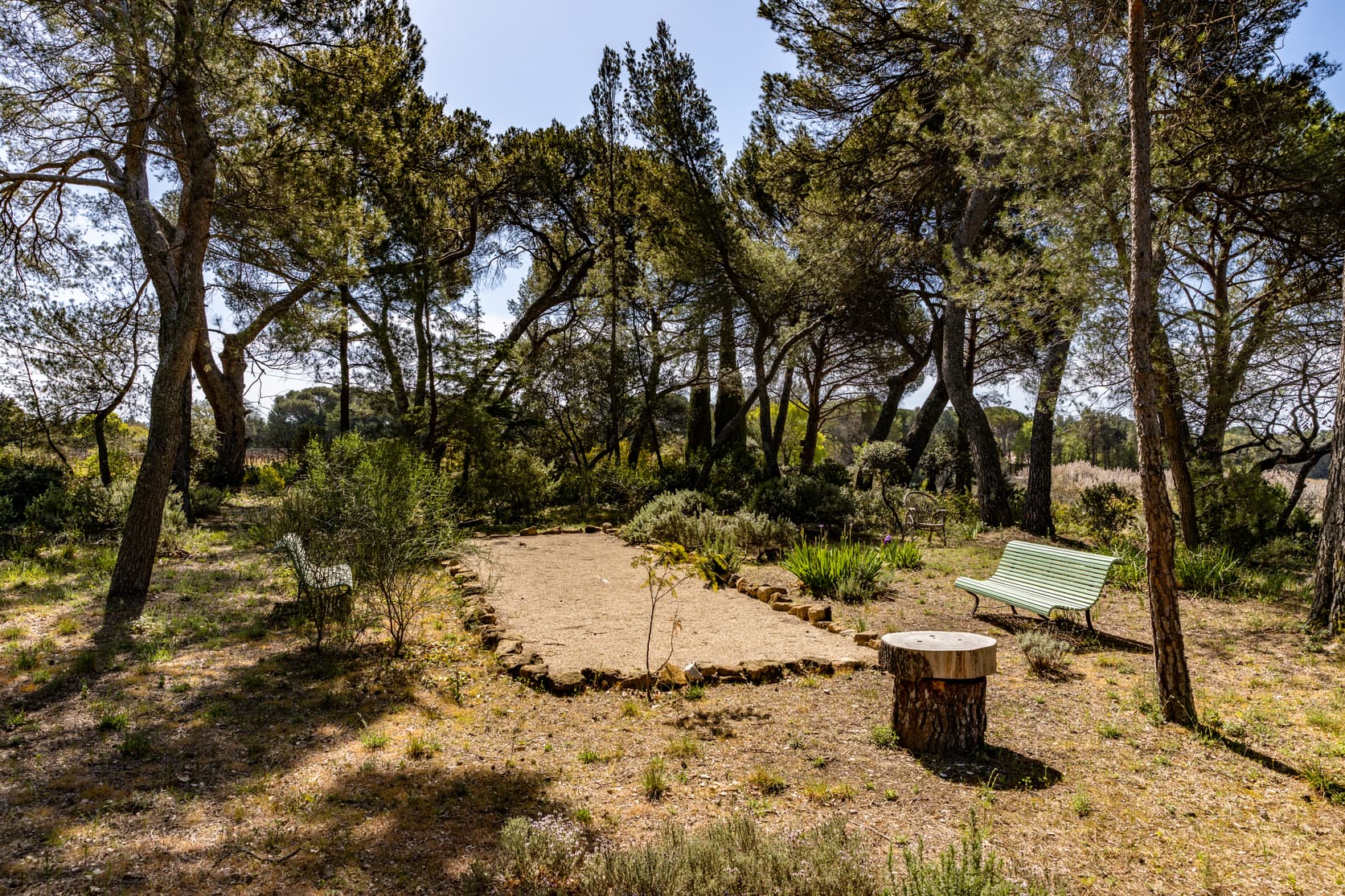 Caromb character property - 050 .jpg