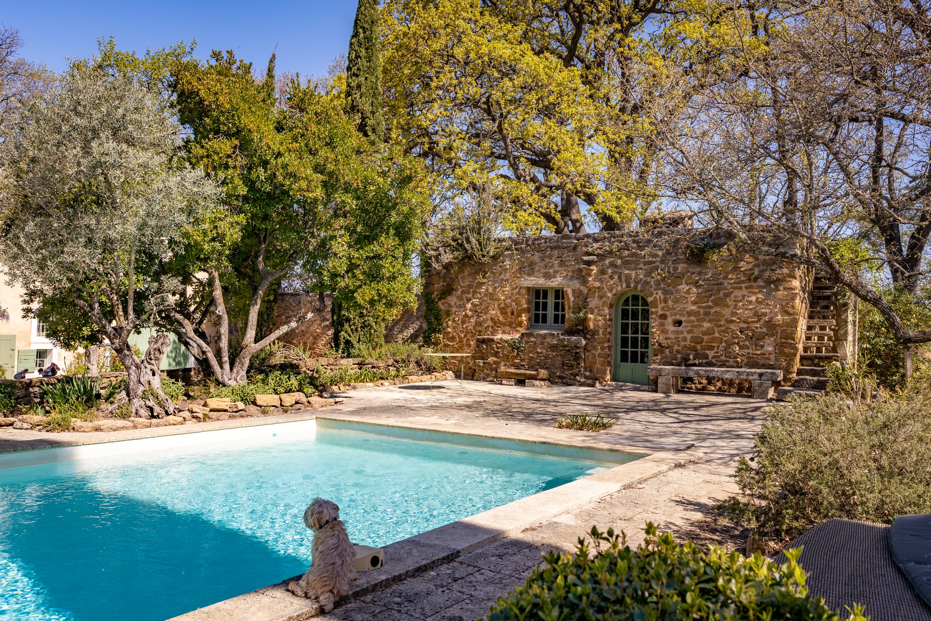 Caromb character property - 028 .jpg