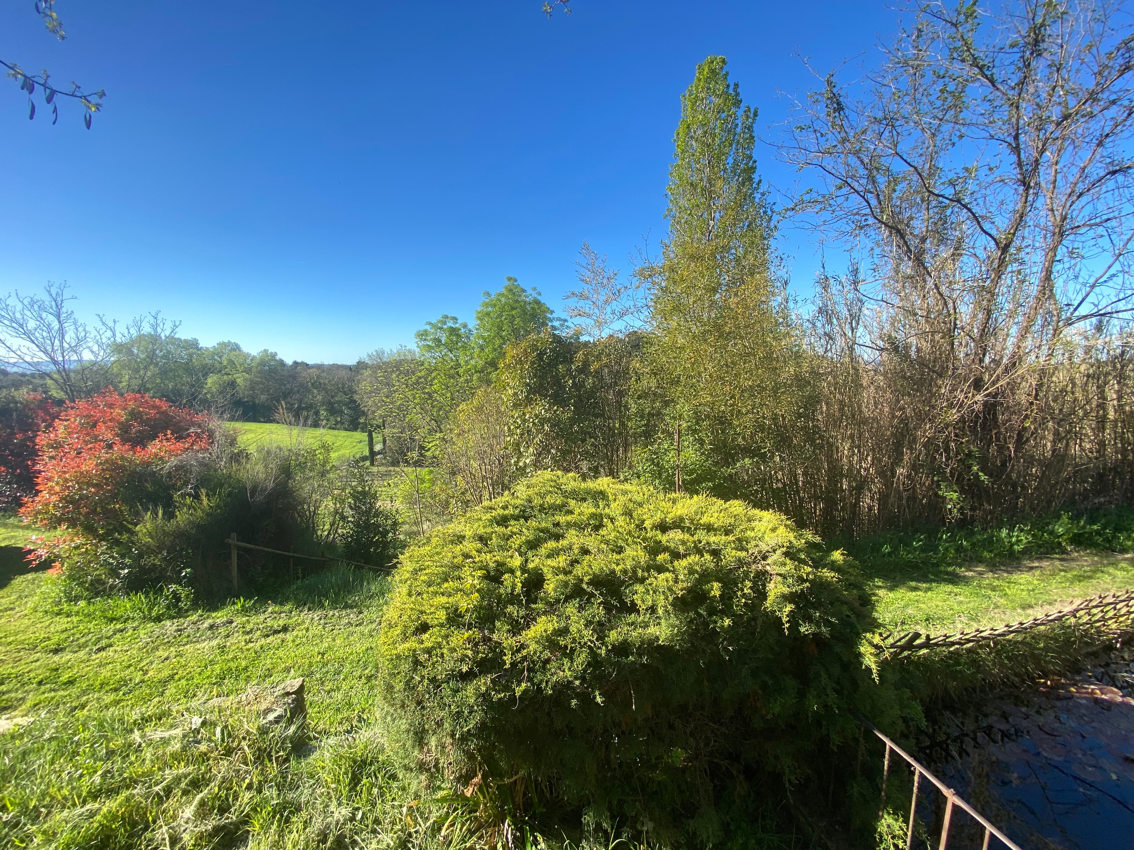 Vaugines property with high potential - IMG_5049 2.jpg