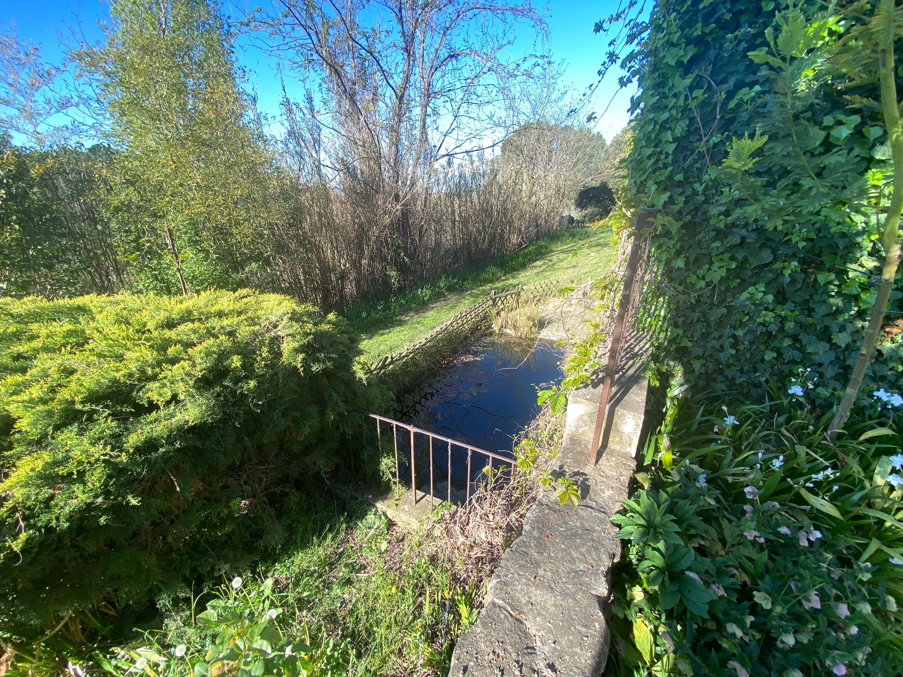 Vaugines property with high potential - IMG_5048 2.jpg