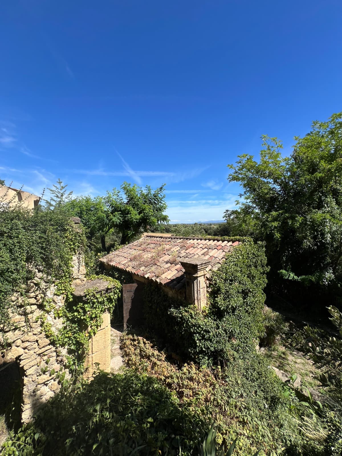 Vaugines property with high potential - PHOTO-2024-07-06-11-23-07 19.jpg