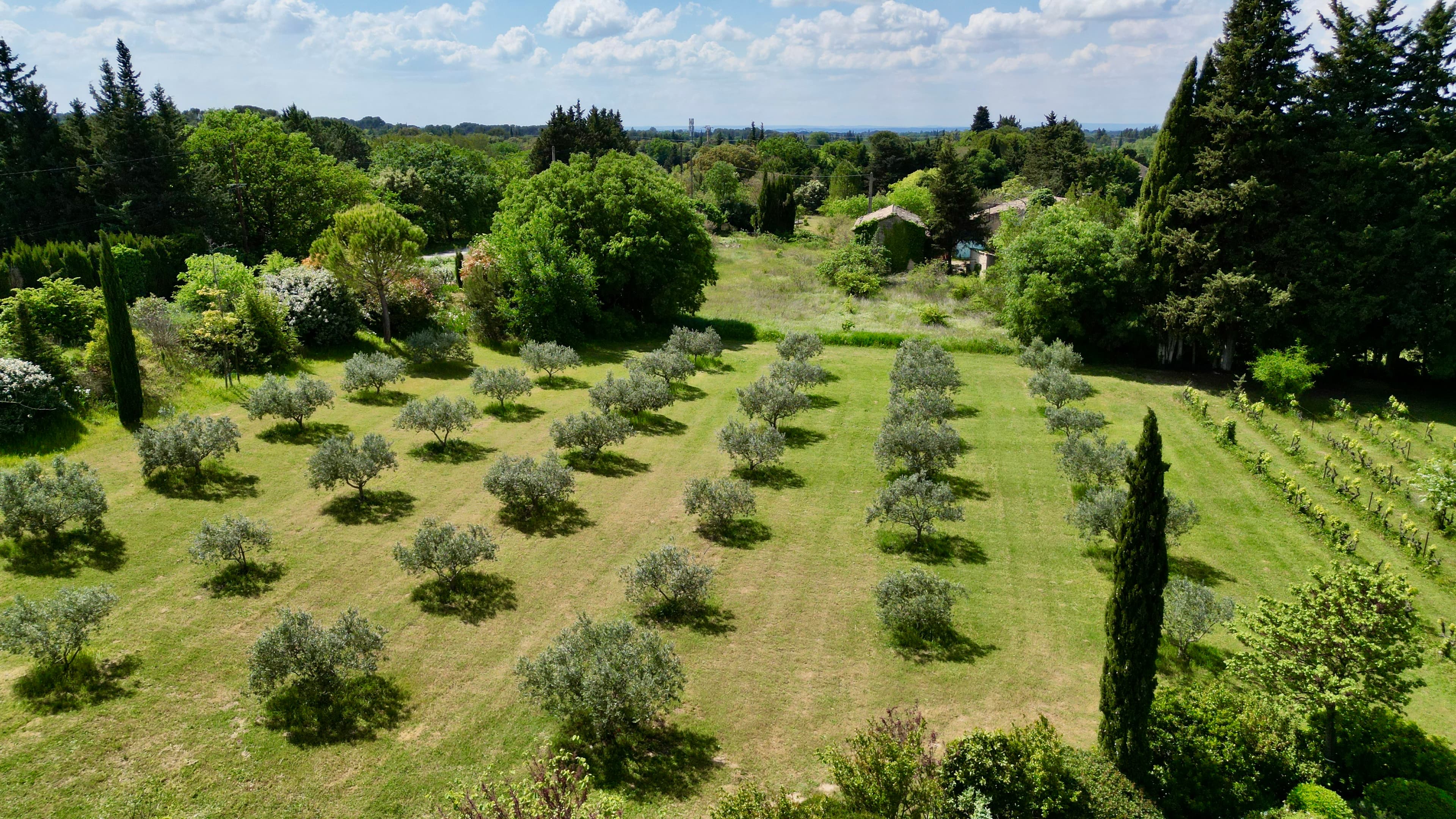 Caromb renovated farmhouse - dji_fly_20260423_151644_199_1776948903585_photo copie.jpeg