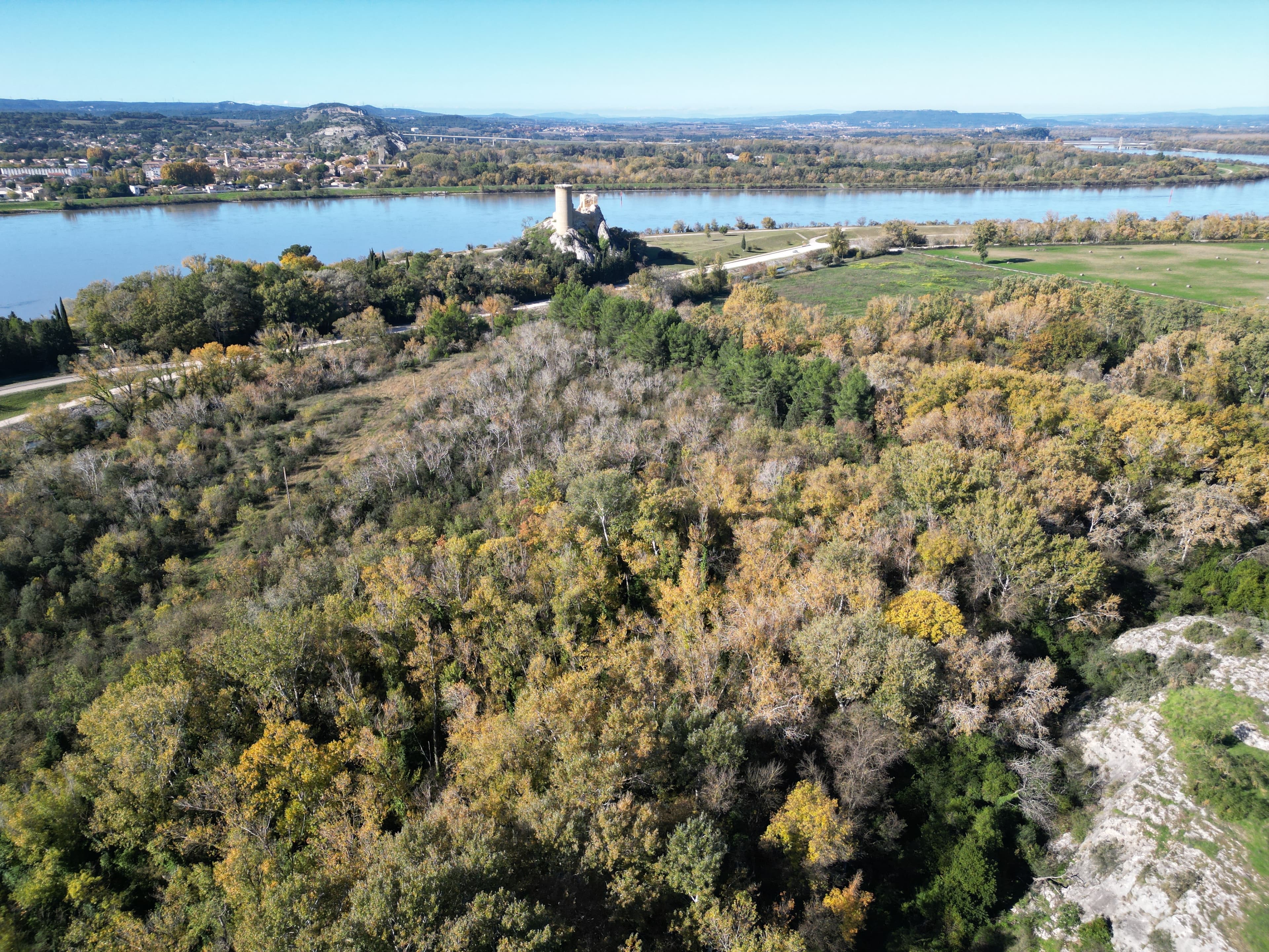 Vineyard Châteauneuf-du-Pape - dji_fly_20251104_115034_54_1762252940736_photo.JPG