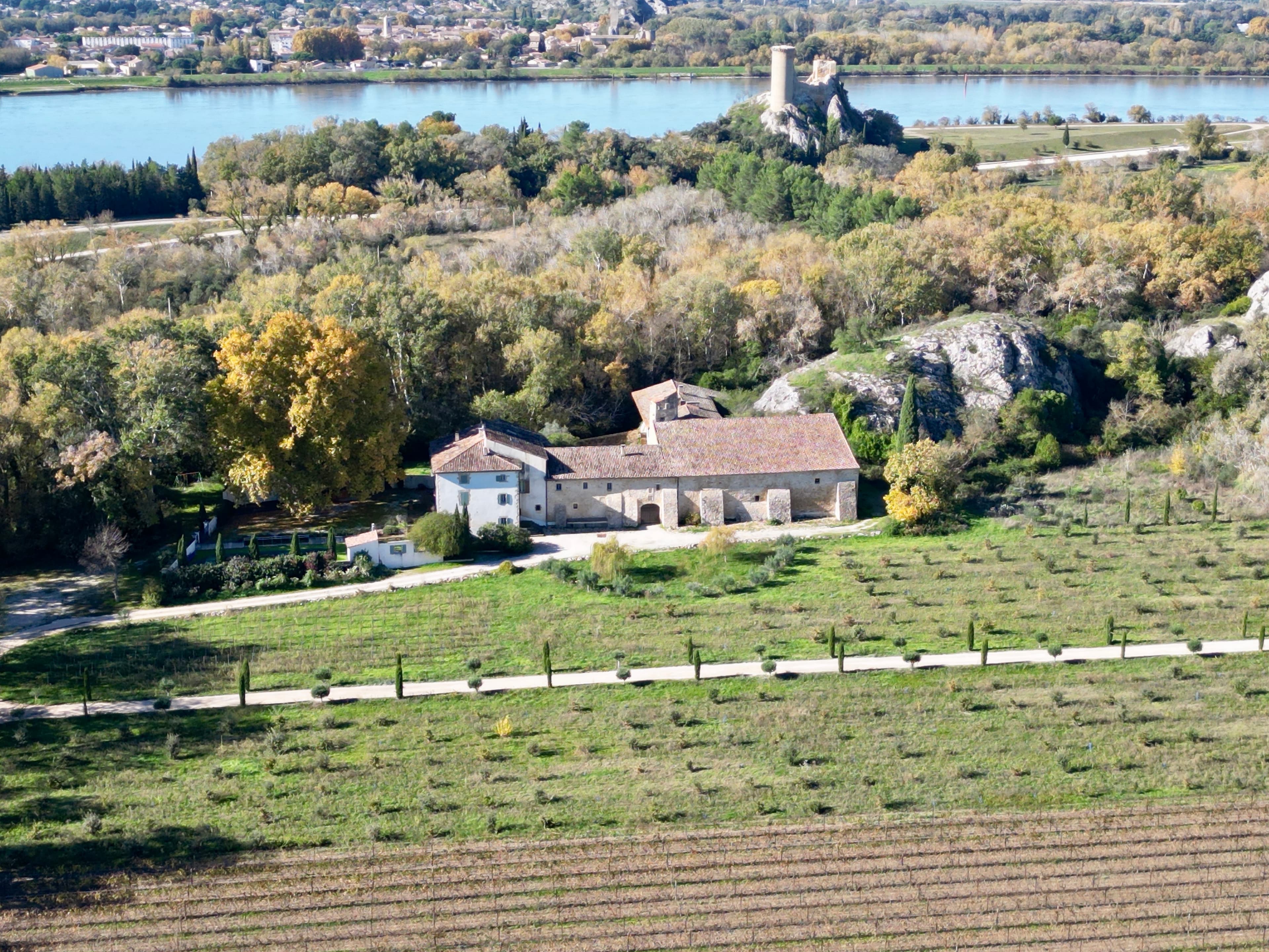 Vineyard Châteauneuf-du-Pape