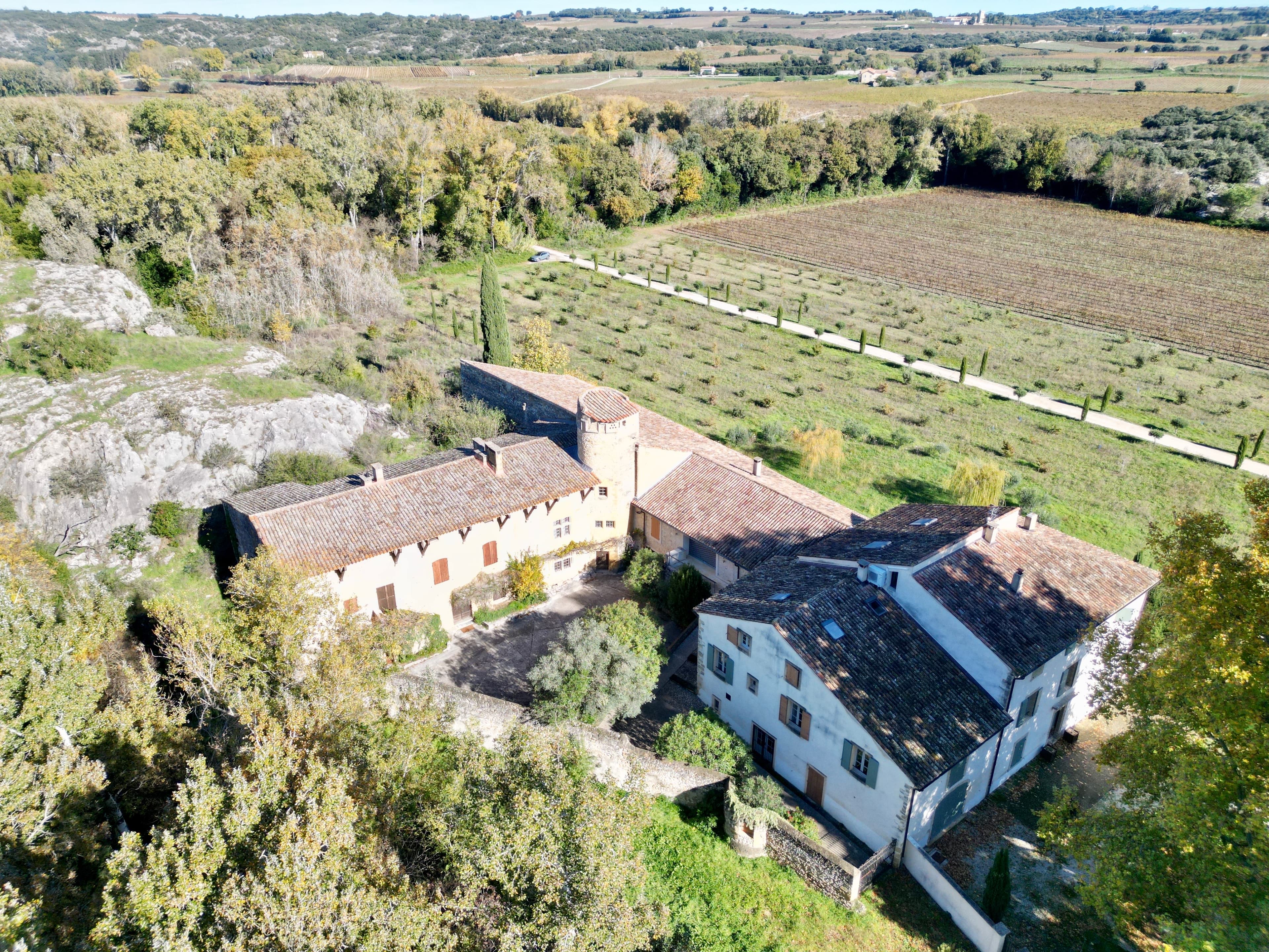 Vineyard Châteauneuf-du-Pape - dji_fly_20251104_115444_66_1762252938048_photo.jpg